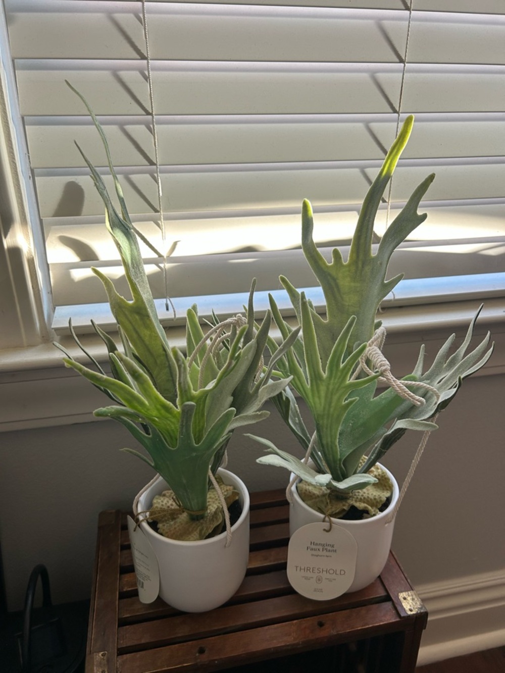 NWT Threshold Green Faux Staghorn Ferns in White Hanging Pots - Set of 2